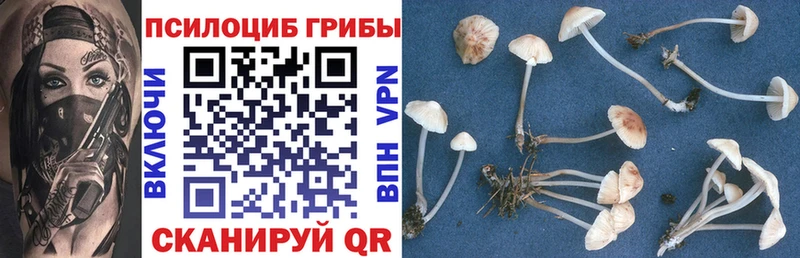 Псилоцибиновые грибы мухоморы  Павлово 